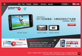 热门网站，热门网站有哪些