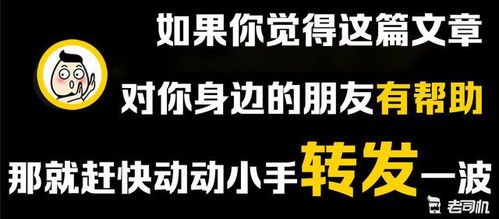 由你选择，由你选择歌词