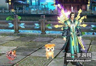 宠物手游，好玩的宠物手游