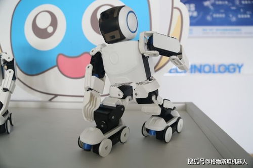 小学机器人课程学什么