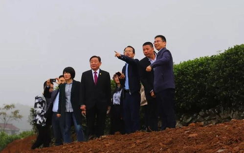 大屯到东丁多少公里?