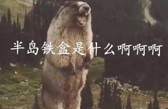 半岛铁盒是什么梗