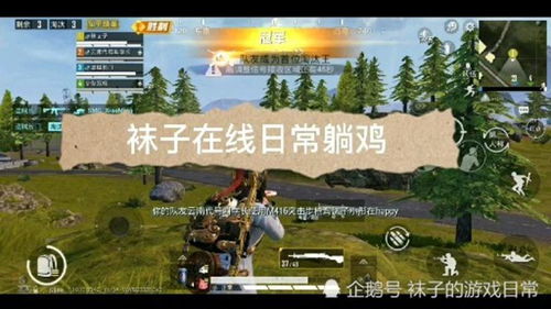 和平精英游戏排名第几名