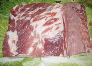 野猪肉可以吃吗