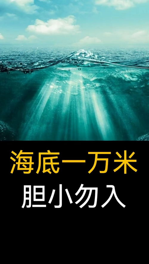 什么的探索精神?