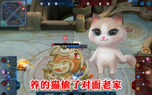 养猫游戏，养猫游戏治愈画风