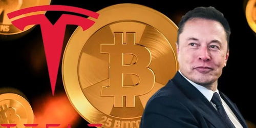 马斯克资产，马斯克资产多少亿美元