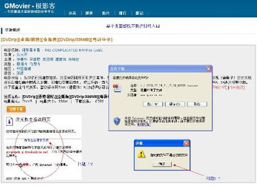 极影的网站是多少?