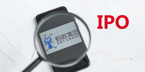 蚂蚁公司,蚂蚁公司做什么的