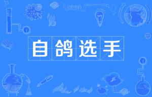 自鸽选手，自鸽选手图片