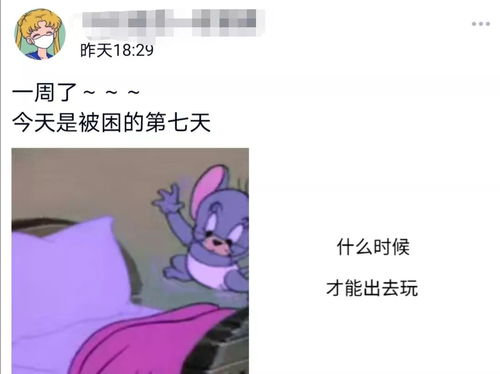 想看，想看老公手机