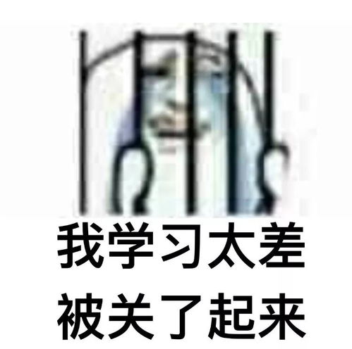 好了好了，好了好了你别再闹了