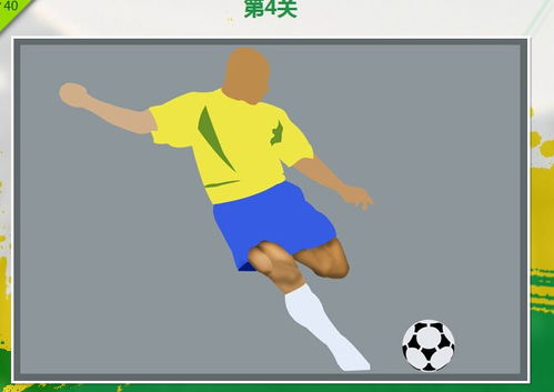哪有看图识人软件?