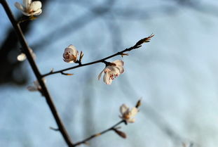 从此寻花问柳,闭口不谈一生厮守。 出自哪里?