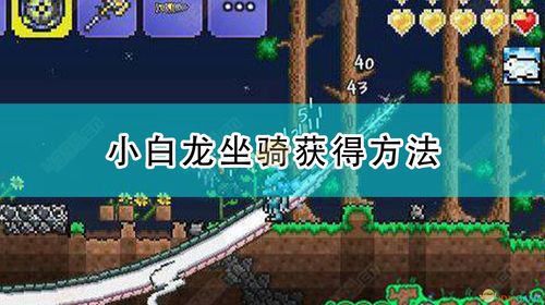 泰拉瑞亚小白龙坐骑，泰拉瑞亚小白龙坐骑掉落概率