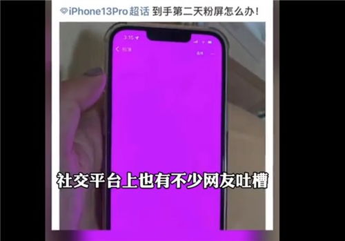 粉屏，粉屏是什么意思