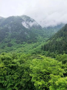 烟台青山翠谷回迁房是哪几栋楼