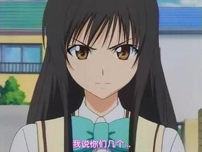 古手川佑子的演艺经历