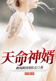 天命神婿，天命神婿陈黄皮叶红鱼免费阅读