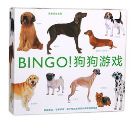 在家可以和狗狗玩的游戏