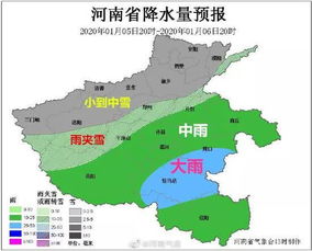 河南省北中部地互杨梅树能不能结果