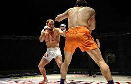 格斗拳，格斗拳第一套16式图解