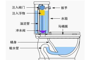 【马桶原理图】抽水马桶原理是什么