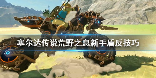 塞尔达传说盾反怎么按