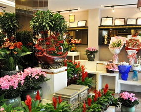 花店老板，花店老板娘的视频