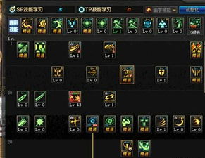 狂战加点，狂战加点图