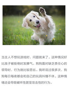 狗狗游戏，狗狗游戏steam