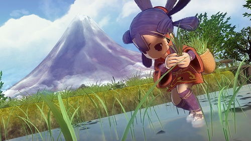 天穗之咲稻姬料理有哪些效果 天穗之咲稻姬料理效果一览