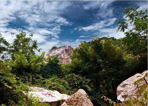 南山指的是哪座山
