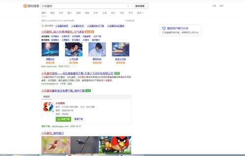 壁纸搜索，壁纸搜索识图