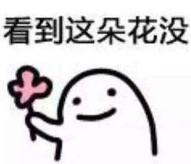 快到我碗里来,这句话是什么意思