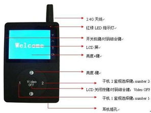 蓝杉，蓝杉树图片