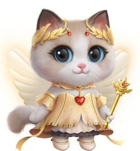 淘宝猫图鉴，淘宝猫图鉴大全图片