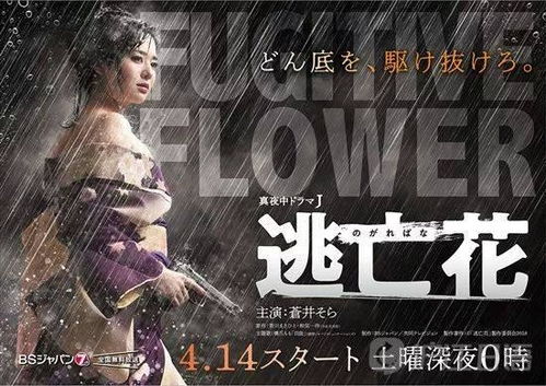 逃亡花电视剧，逃亡花电视剧播放