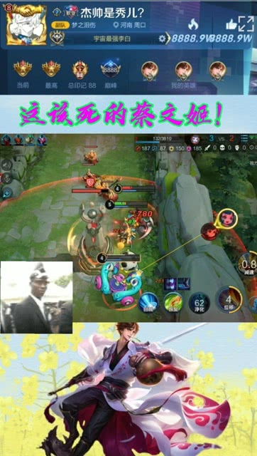 蔡文姬技能，蔡文姬技能介绍