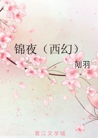 锦夜的内容简介