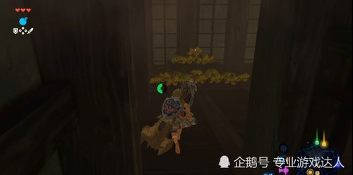 塞尔达荒野之息依盖队基地怎么打 依盖队基地打法介绍