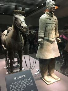 侍儿扶起娇无力，侍儿扶起娇无力什么意思