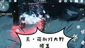 原神冷鲜肉在哪里获取