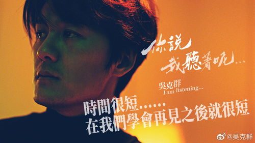 专辑是什么