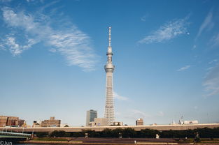 世界上最高的铁塔:东京晴空塔(634米)