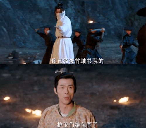 自此，自此鲜花送自己,纵马踏花向自由是什么意思