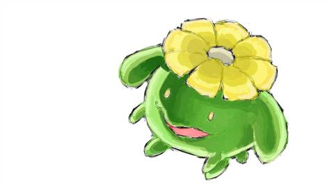 闪光毽子花是什么颜色