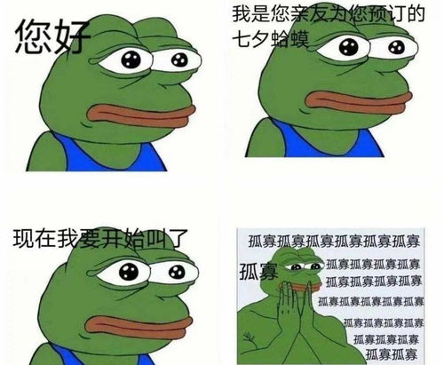七夕蛤蟆是什么