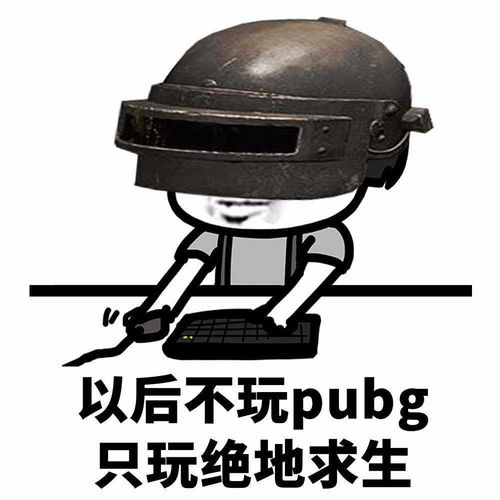 电脑上玩的吃鸡游戏叫什么名字