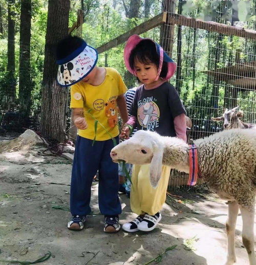 饲养小动物需要注意些什么?